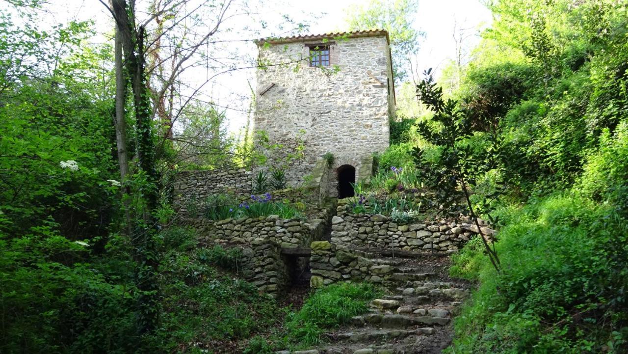 Gite Du Couchant Sorède 外观 照片